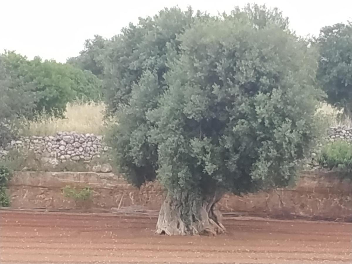 Masseria Auina Hotell Fasano Exteriör bild