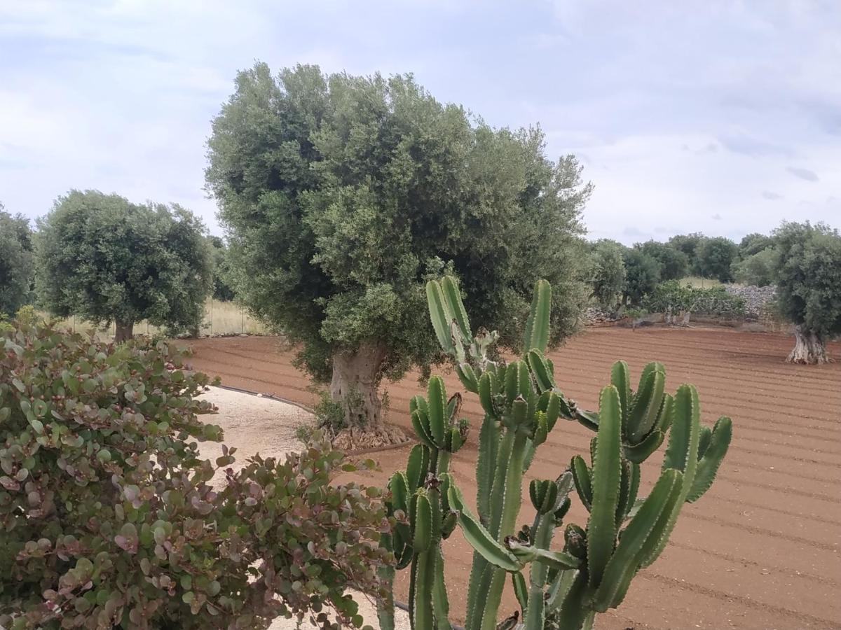 Masseria Auina Hotell Fasano Exteriör bild